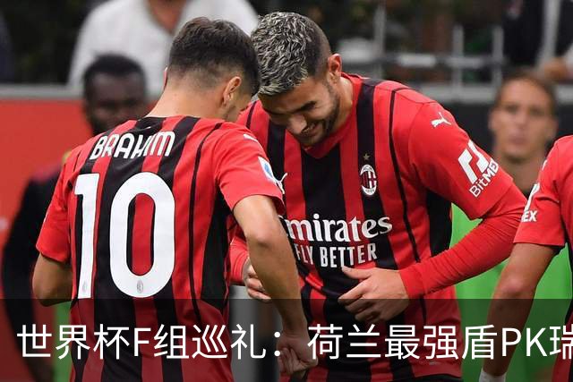 世界杯F组巡礼：荷兰最强盾PK瑞典犀利刀 日本短板明显