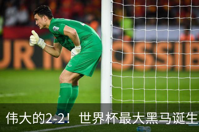 伟大的2-2！世界杯最大黑马诞生？ 逼平两大世界冠军实现国足目标