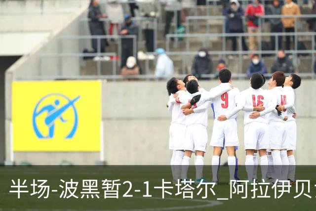 半场-波黑暂2-1卡塔尔 阿拉伊贝戈维奇世界波破门哲科造乌龙